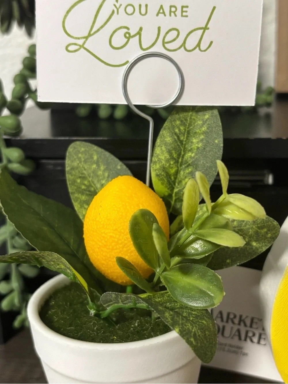 Decor Set Lemon Succulent Photo/Note Holder & Lemonhead